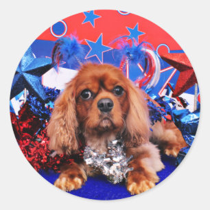 4. Juli - unbekümmerter Königcharles Spaniel - Runder Aufkleber