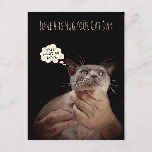 4. Juni ist „Hug your Cat Day“ (Kuschel-mit-deinem Postkarte