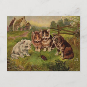 4 Katzen, die mit Käfer spielen, Vintage Postkarte