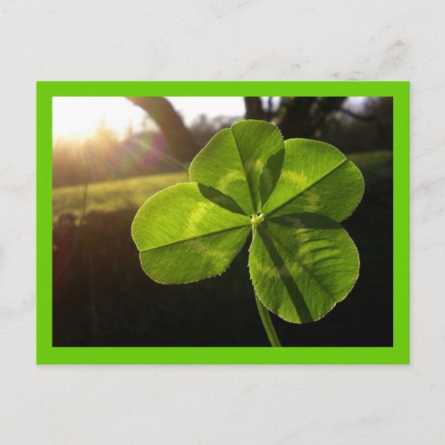 4 Leaf Closed Postcard Postkarte (Vorderseite)