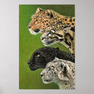 4 Leopards Poster