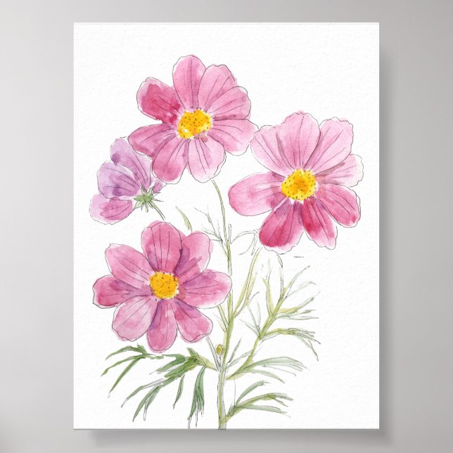 4 magenta cosmos Blume Tinte und Aquarell Poster (Vorne)