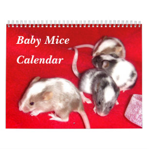 4 Mäuse, die für ein Baby geeignet sind Kalender