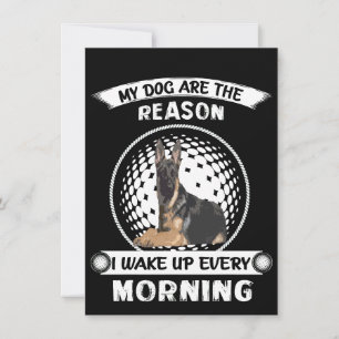 4 meiner Hunde sind der Grund, warum ich jeden Mor Einladung