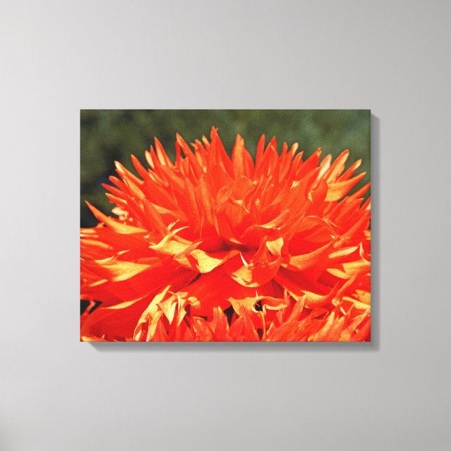 4 Panel Artwork Leinwand Orange Dahlia Blume (Vorderseite)