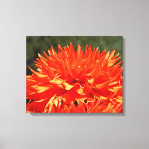 4-Panel-Kunstwerk Leinwand Orange Dahlien Blumen