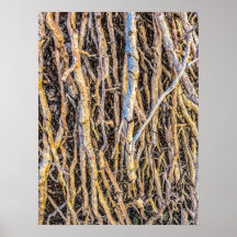 4 Print, Poster Paper (Halbglanz)