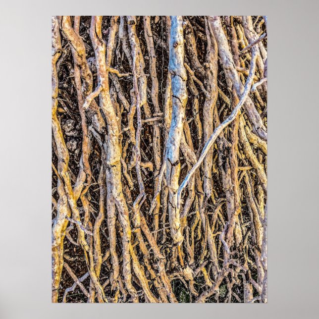 4 Print, Poster Paper (Halbglanz) (Vorne)