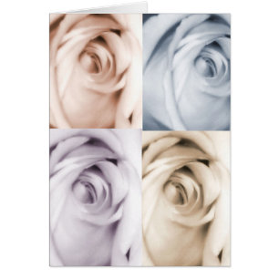4 Rose-Karte