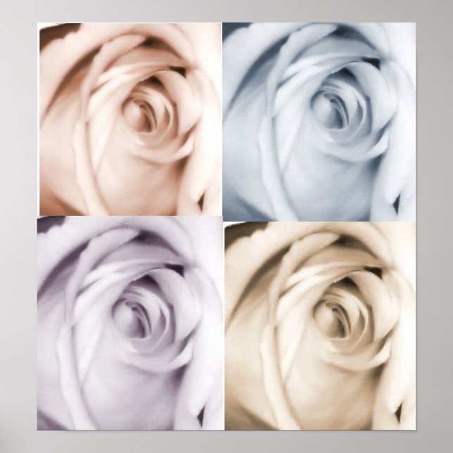 4 ROSE POSTER (Vorne)