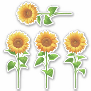 4 Sonnenblumen-Aufkleber (hell) Aufkleber
