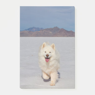 4"x6" Nachhinweise - Salzlatten Post-it Klebezettel