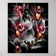 4 x 5 Verhältnis Schwarz Orchid Print Img5459