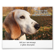 4 x 6 Foto Druck w Bereich zum Hinzufügen einer Bi