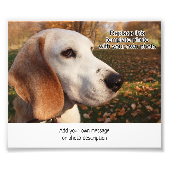 4 x 6 Foto Druck w Bereich zum Hinzufügen einer Bi (Vorne)