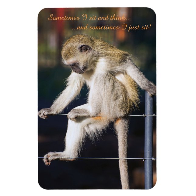 4 x 6 Kühlschrankmagnet mit Affe und Slogan Magnet (Vertikal)