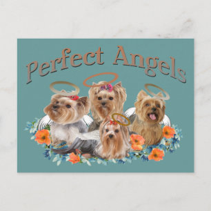 4 Yorkie Perfect Angels Geschenke Postkarte