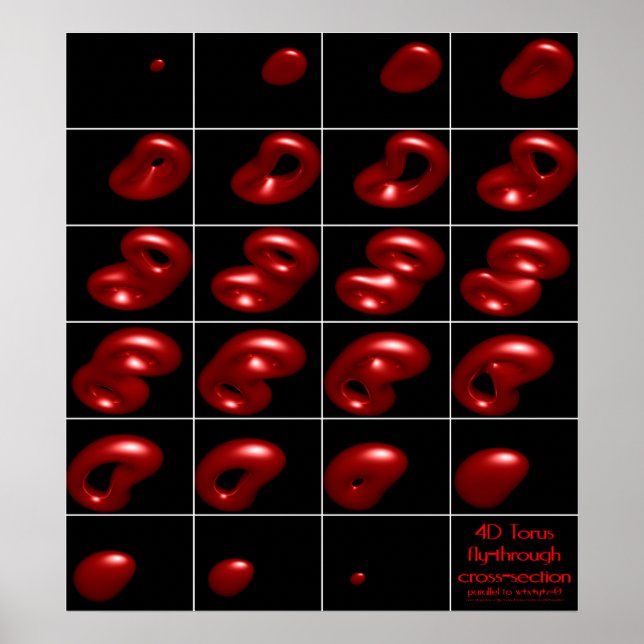 4d-Torus-Fliegenquerschnitt Poster (Vorne)