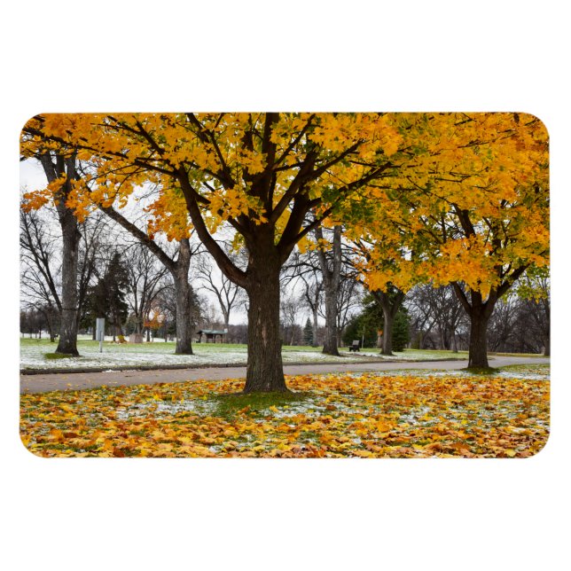 4x6 Flachbildschirm Magnet (Horizontal)