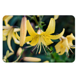 4x6 Flachbildschirm Magnet