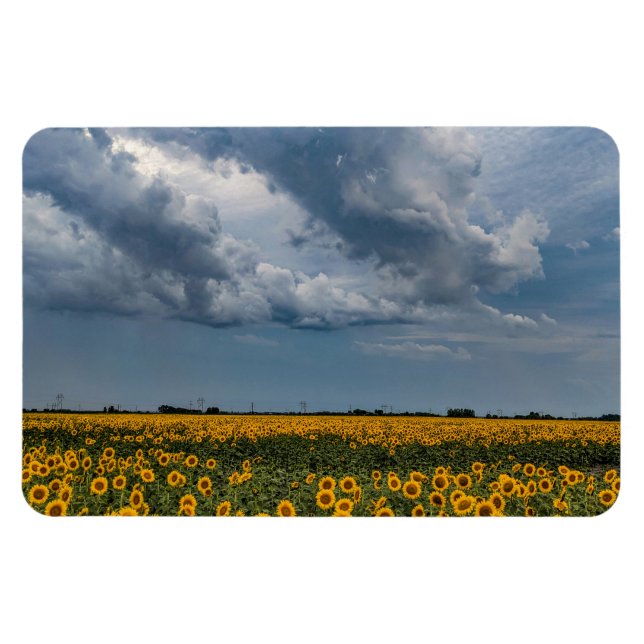 4x6 Flachbildschirm Magnet (Horizontal)