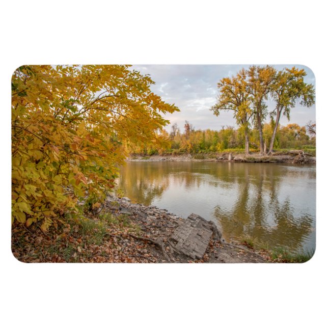 4x6 Flachbildschirm Magnet (Horizontal)