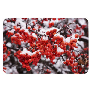 4x6 Flachbildschirm Magnet