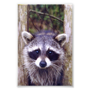 4x6-Foto Fotodruck