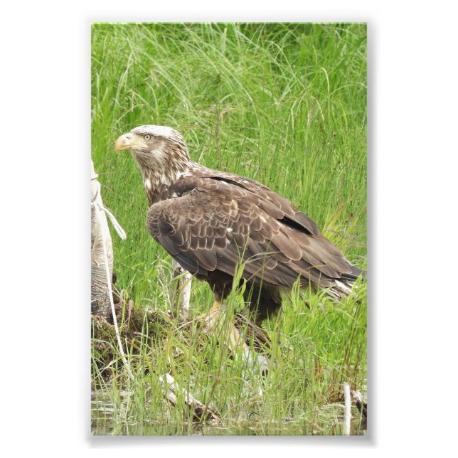 4x6-Foto Fotodruck (Vorne)