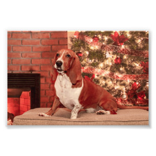 4x6 Weihnachtsferien Fotodruck