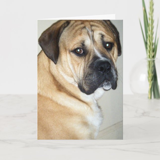 50. ABER IMMER NOCH DER OBERE HUND KARTE (Vorderseite)