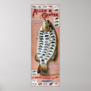 50 Fische aus amerikanischen Gewässern Vintage Pos Poster