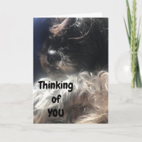 "50. GEBURTSTAG" DENKEN ÜBER SIE, WIE ICH IMMER TU