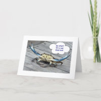 50. GEBURTSTAG MIT CRABBY CRAB