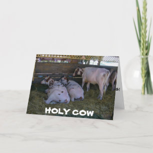 **50. GEBURTSTAG?** SORGEN SIE SICH NICHT, DASS WI KARTE