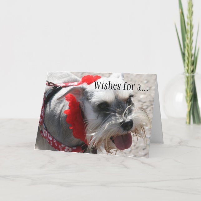 50. KARTE (Vorderseite)