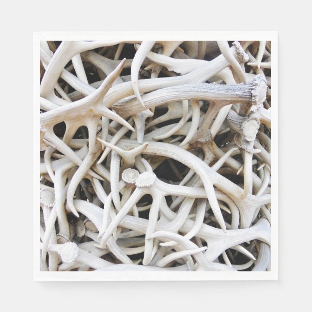 50 Paper Napkins Elk Antlers Serviette (Vorderseite)