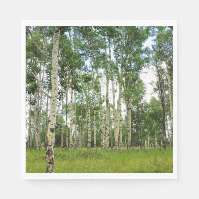 50 Paper Napkins Quaking Aspens Serviette (Vorderseite)