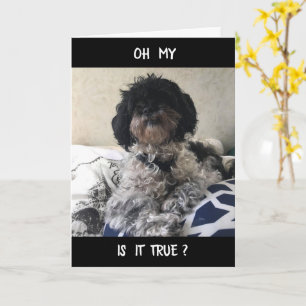 **50** SIEHT SICH SEHR GUT AUF SIE AUS! HAPPY BIRT KARTE