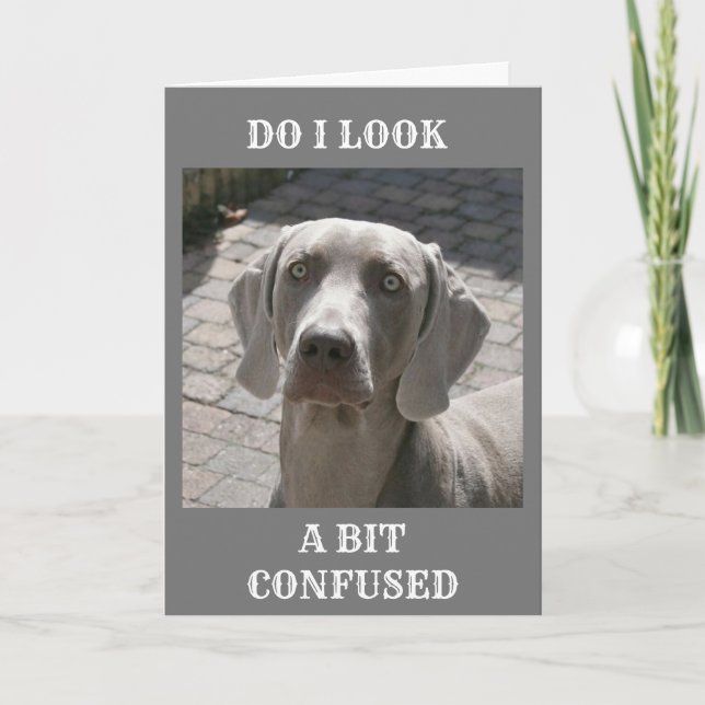 "50" WIE KANN ES GESAGT WERDEN, WEIMARANER CARD KARTE (Vorderseite)