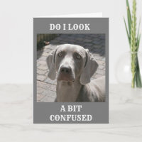 "50" WIE KANN ES GESAGT WERDEN, WEIMARANER CARD