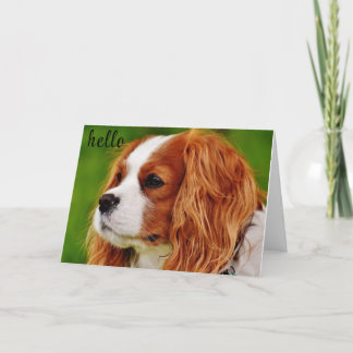 **50*** WIE SIEHT ES SICH AM GEBURTSTAG SPASS? KARTE