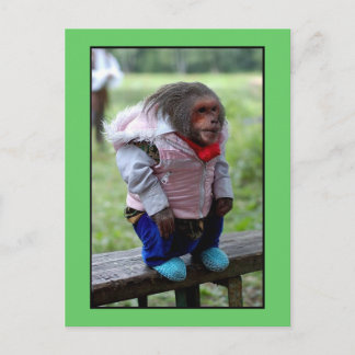 52170 POSTKARTE