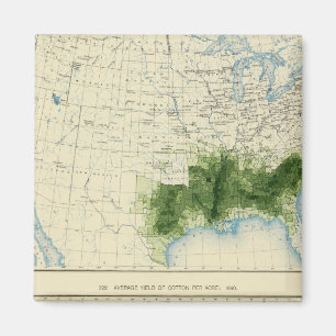 52 Baumwolle 1890 Magnet
