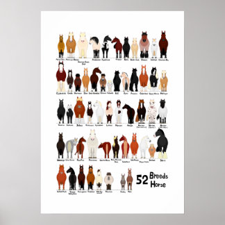 52 Pferderassen-Diagramm Poster