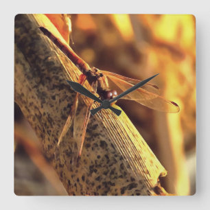 534424932Elegant Red Darter Dragonfly Insekt Art Quadratische Wanduhr