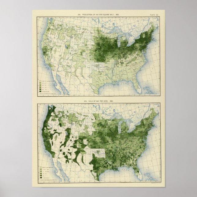 53 Hay 1890 Poster (Vorne)