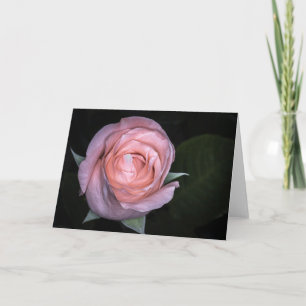 5434-Pfirsich-Rosen-Sträußchen Grußkarte gefaltet Karte