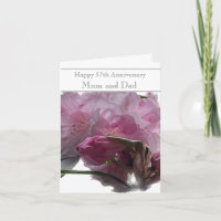 57. Hochzeitstag Pink Rhododendron