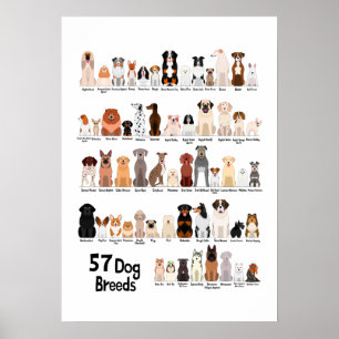 57 Hunde-Rassen Poster